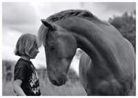  Dans un cadre familial, petits et grands,cavaliers occasionnels ou confirmés pourront partager un moment autour du cheval